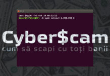 cyberscam
